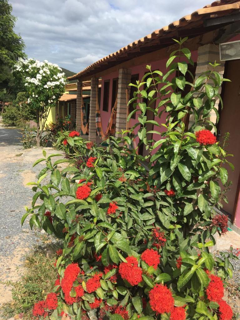 Pousada Villa Bella Palmeiras  Exterior photo